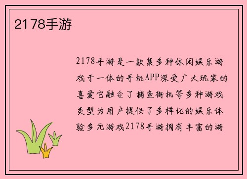 2178手游