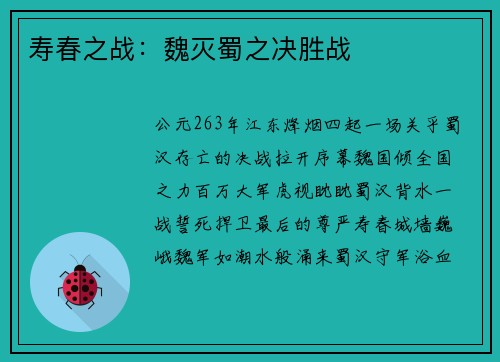 寿春之战:魏灭蜀之决胜战
